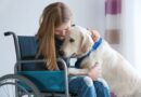 La Pet Therapy di Imma Meo